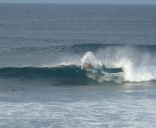 IMGP0135