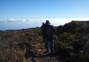 Haleakala 9