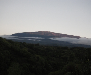 IMGP0346